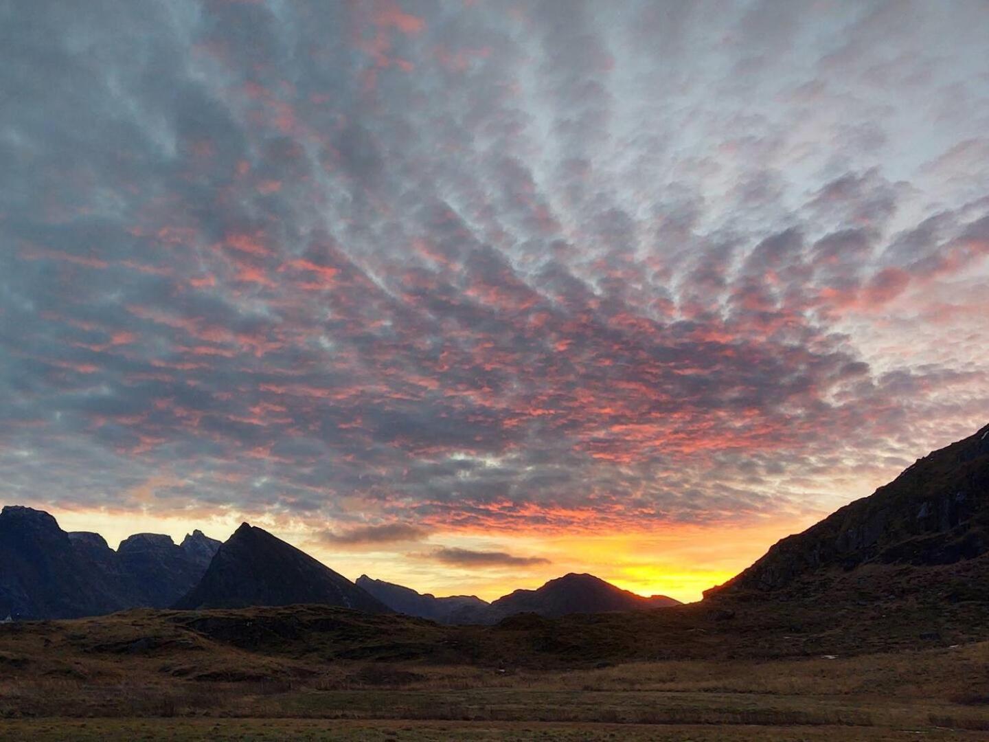 Fredvang Farm House - Lofoten Exteriér fotografie