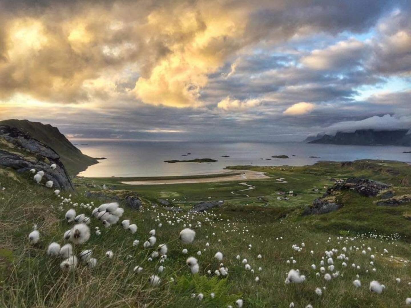 Fredvang Farm House - Lofoten Exteriér fotografie